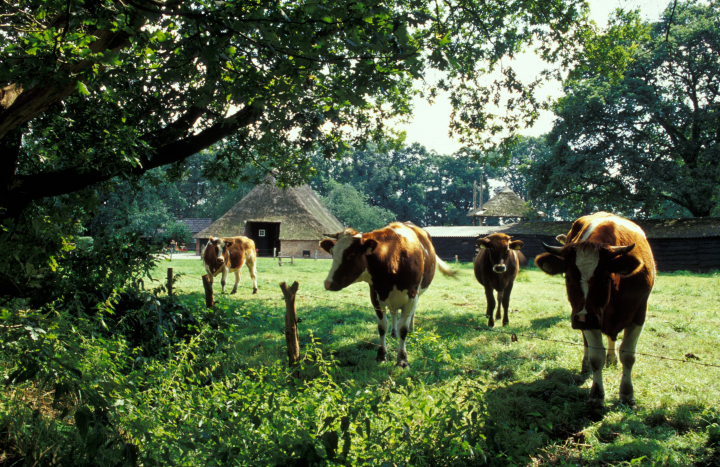 Boerderij - Landgoed Beerze