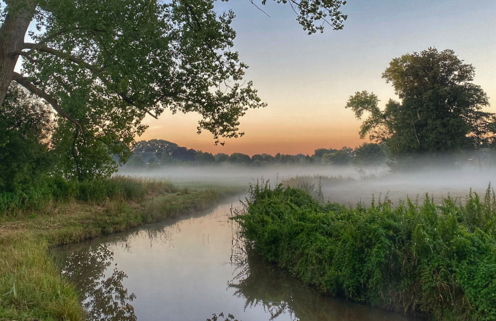 Reestdal Chantal Wachtmeester