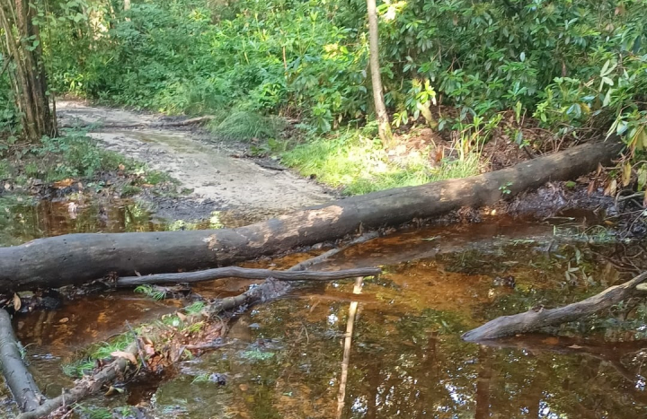 natuur onder water 3