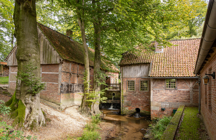 Ensemble Watermolen van Bels 11600
