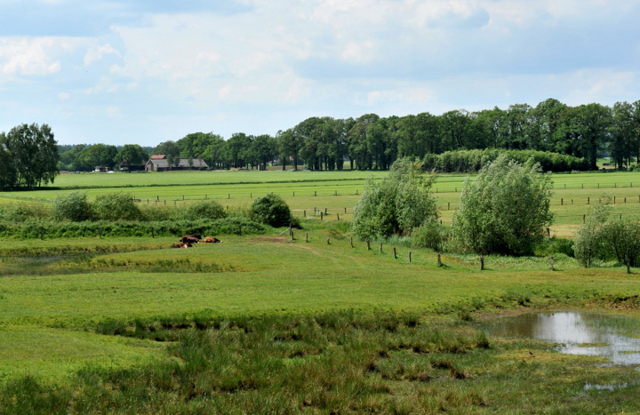 Beekdallandschap Twente