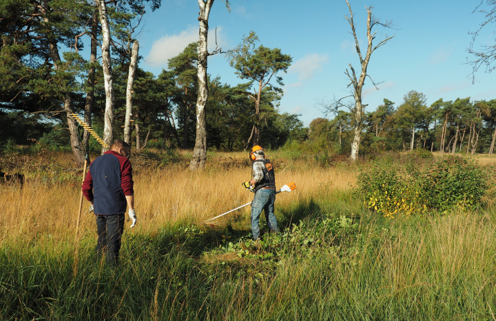Aan de slag met de bosmaaier