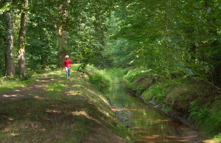 26-Vladimir Dobrasinovic