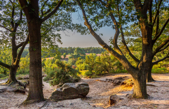 Lemelerberg, avondzon