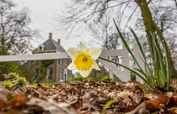Lente op Soeslo