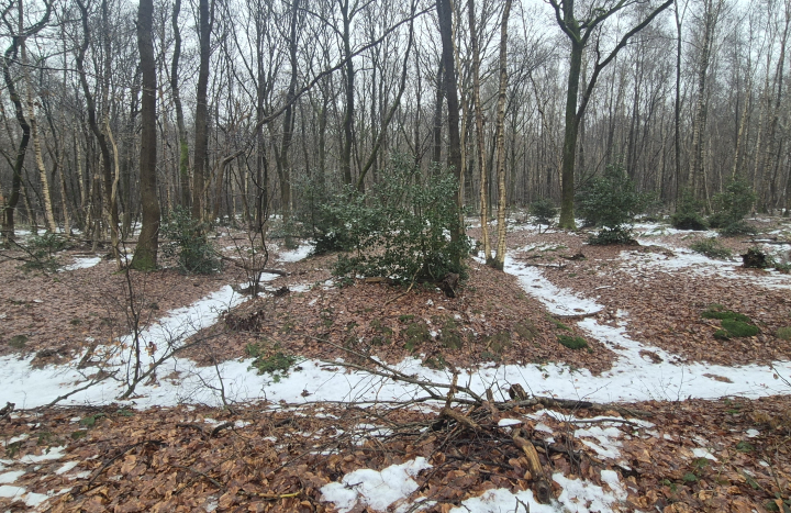 Rabatten op Landgoed de Horte