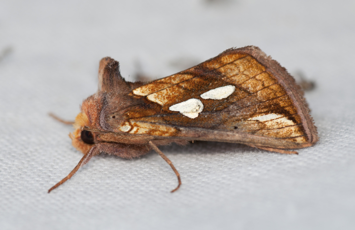 LO14863-Ernstjan Penninkhof