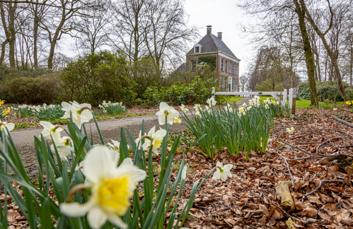 Lente op Soeslo