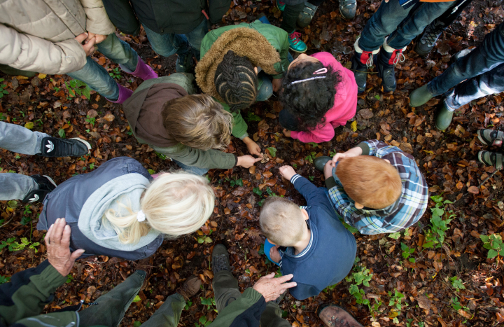 Kinderteam paddenstoelen ontdekken 