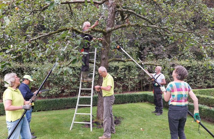 hoogstamsnoeibrigades 