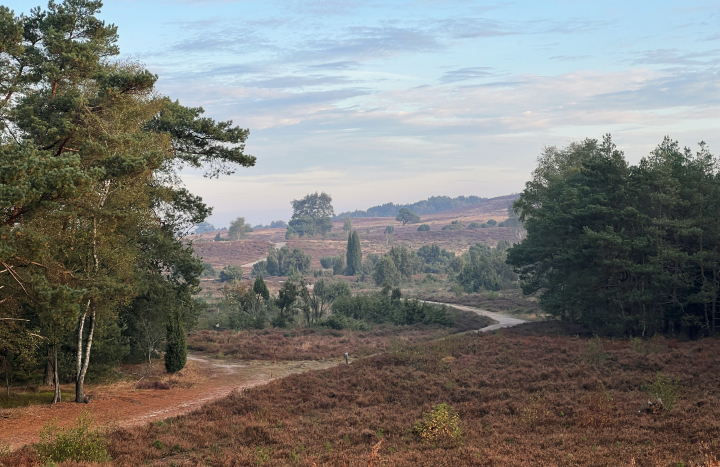 Lemelerberg-Nico Kloek