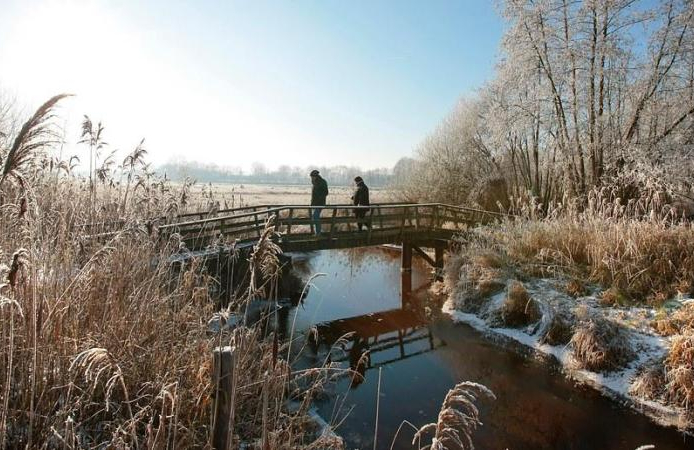 Reestdal, bruggetje van Bartje