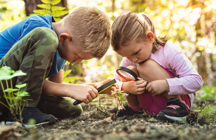 Kinderactiviteit kinderen op zoek