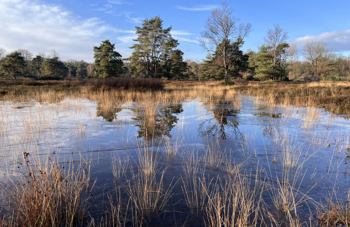 Lonnekermeer, Nico Kloek