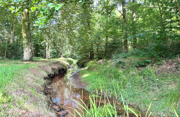 Het Oosterveld, Hesbeek