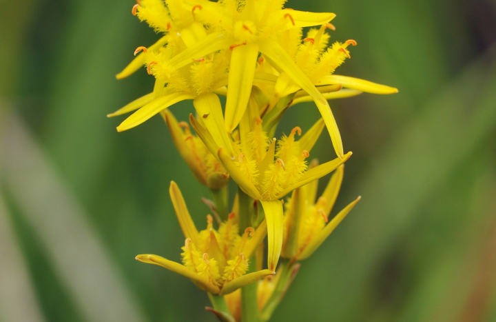 4 nieuw fonds op naam
