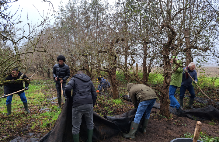 Vluchtelingen doen vrijwilligwerk