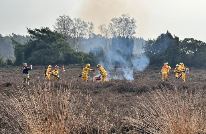 WhatsApp Image 2026-03-07 at 11.34.14