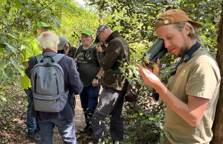 Velddag Wilde bomen & struiken Reestdal, determinatie