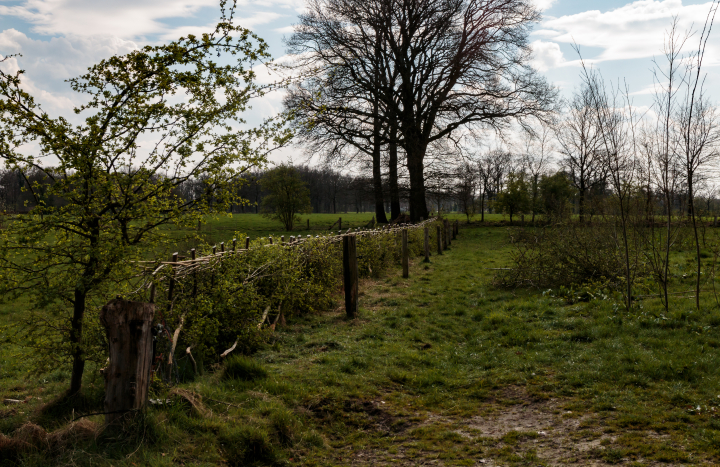 LO02947-Henrica de Joode