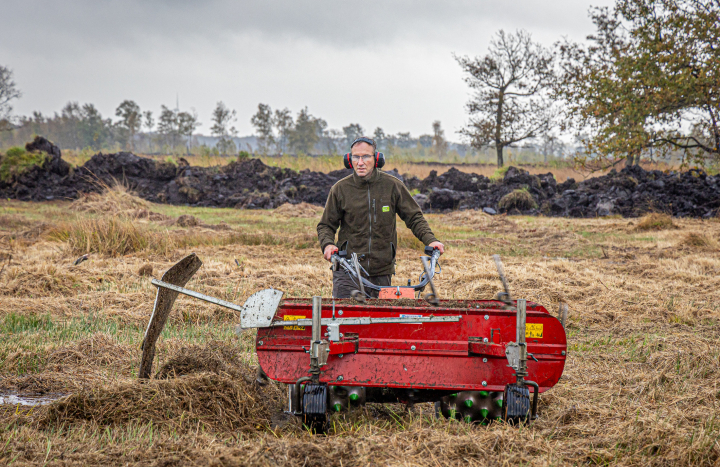 Maaien in het Aamsveen