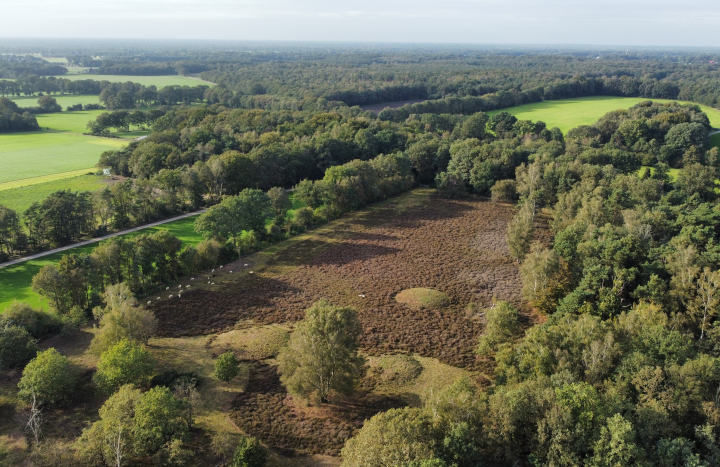 dronebeelden Manderheide_ fotograaf (7)-