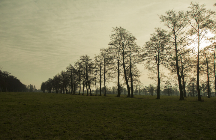 Elzensingel, Slagenlandschap