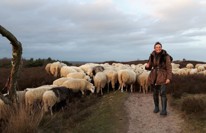 Anita tussen de schapen