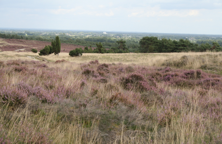 Zicht vanaf het hoogste punt op de Lemelerberg