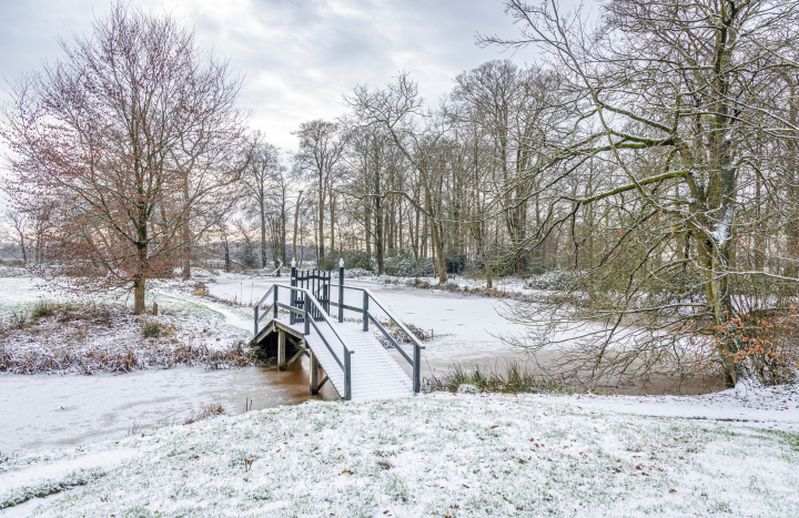 Winter op de Horte