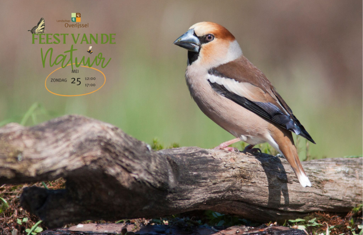 Ontwerp zonder titel (1)