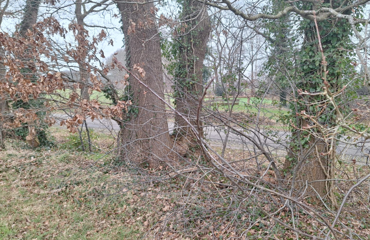 Situatie aan de nieuwe Twentseweg