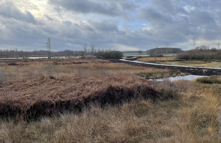 Aamsveen - zicht op de stuwwal en het Hündfelder Moor