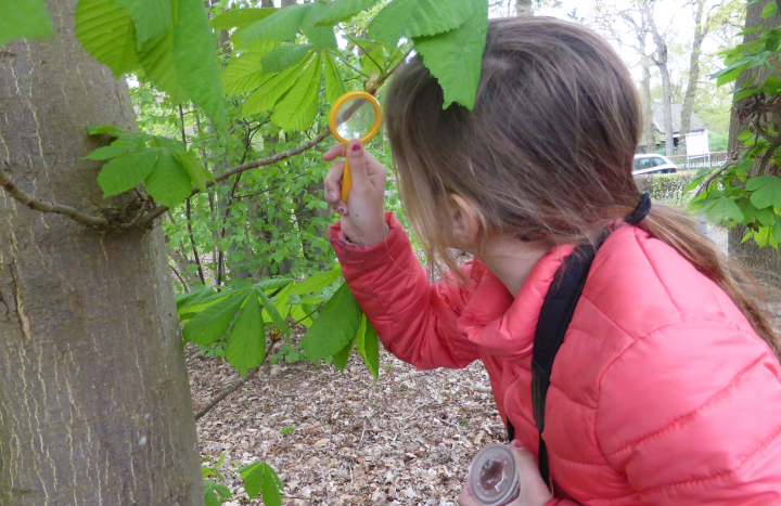 Op onderzoek uit....