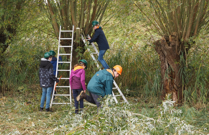 Natuurwerkdag '23 IJssel