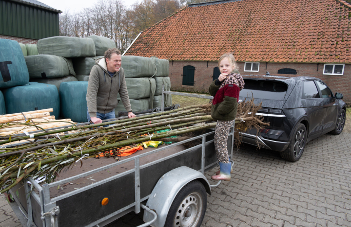 Plantgoed Boomdeeldag Wesepe