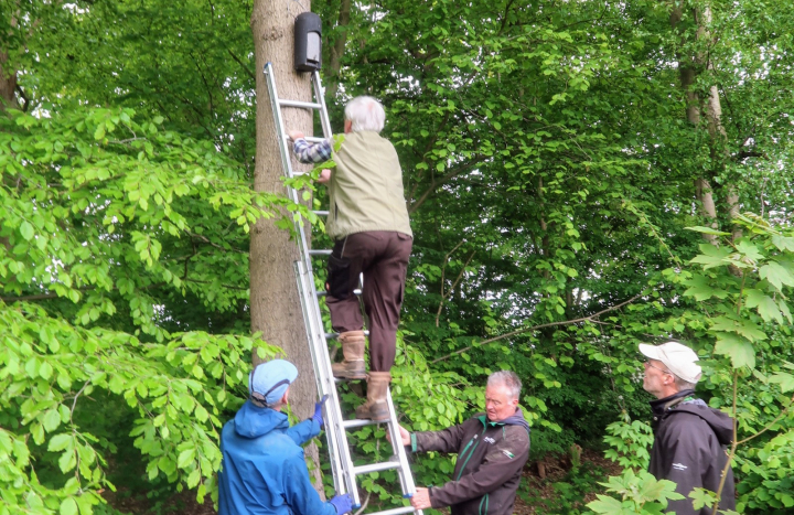 Vrijwilligers monitoren vleermuiskasten