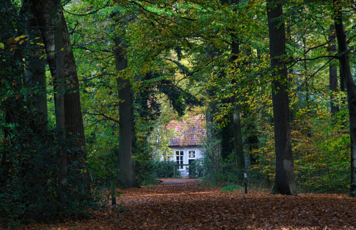 Landgoed Hof Espelo, boerderij