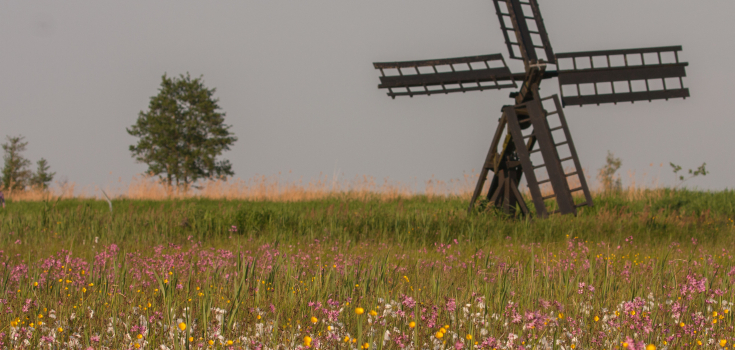 Paaltjasker Sint Jansklooster, Annie Keizer