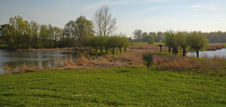 Buitenlanden Langenholte, Zwolle