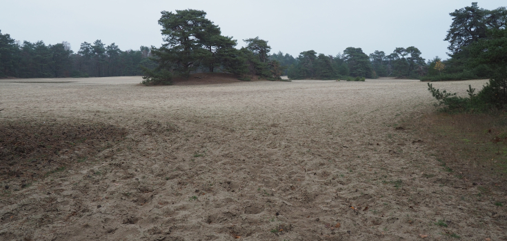 Dekzandgebied Heetdelle