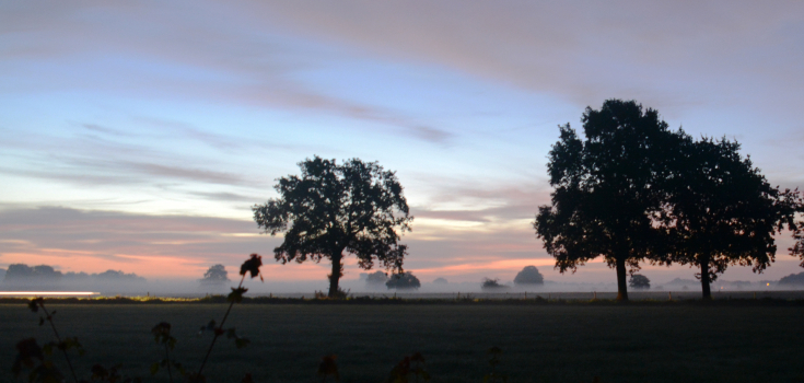 Hilligenpad Nico Kloek