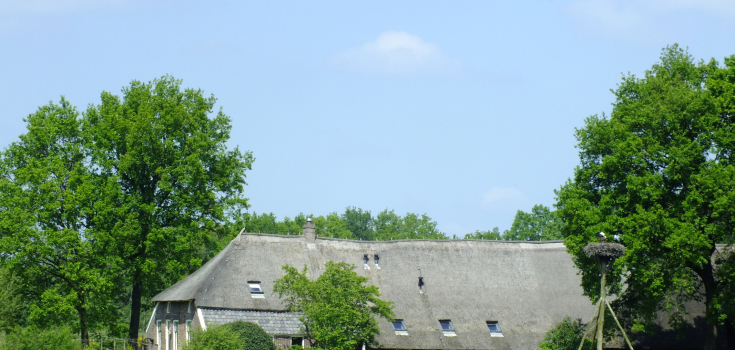 De Wildenberg, David de Graaf