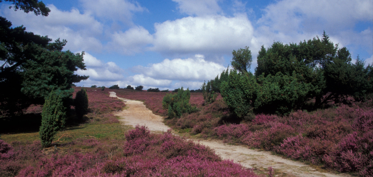 Lemelerberg, Archem