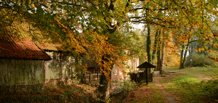 Herfst dal vd Mosbeek 