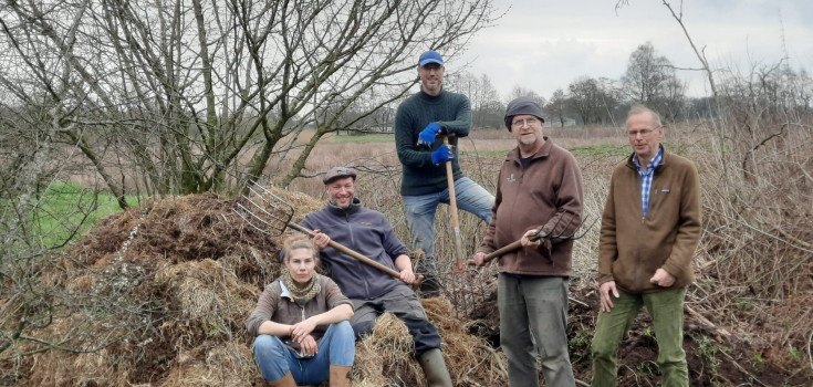Broeihoop maken voor de ringslang