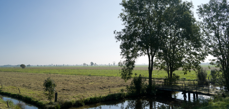 Veerslootlanden Rouveen, laagveen
