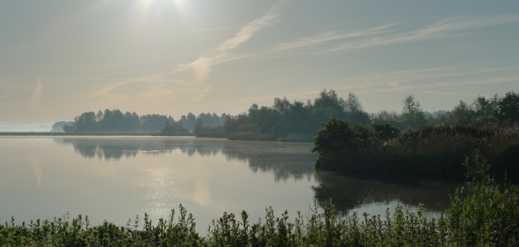 Eeserwold, Mark Zekhuis