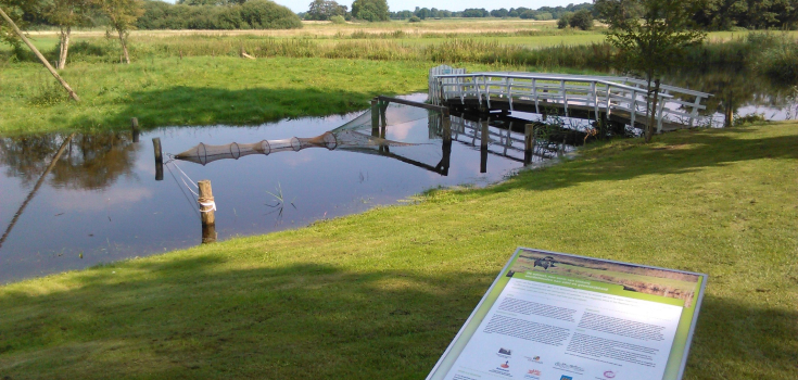 Aalstal, Reest bij IJhorst