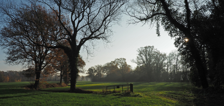 Dekzandlandschap Diepenheim Nico Kloek